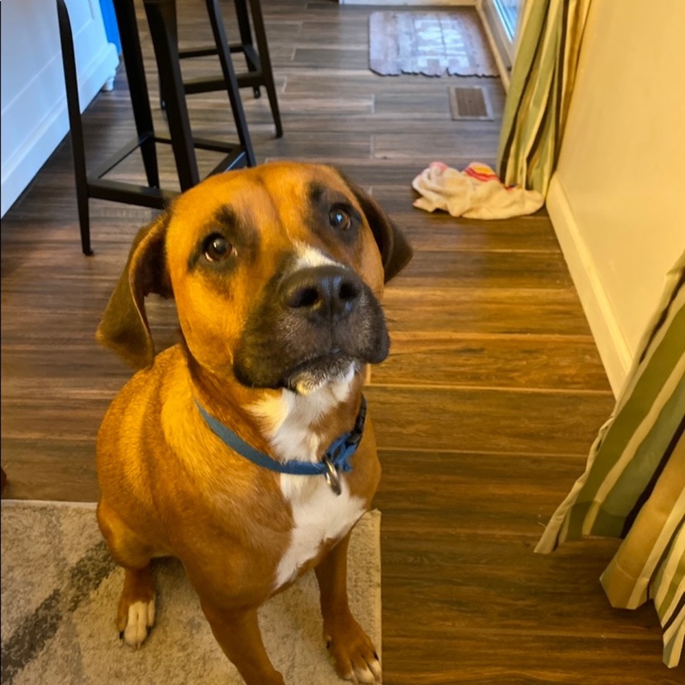 Meet your Posher, Carol